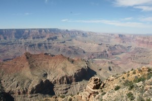 IMG_0418