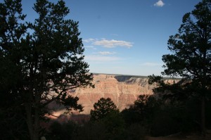 IMG_0533