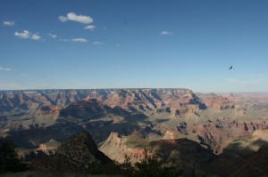 IMG_0534