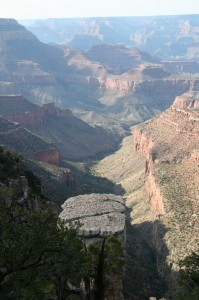 IMG_0536