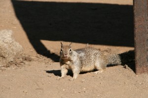 IMG_9806